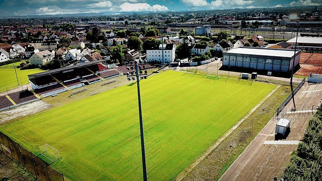 综上所述 综上所述