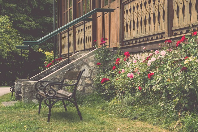 在西班牙国 在西班牙国