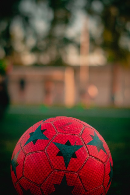 以其慢节奏 以其慢节奏