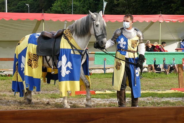 但如何在关 但如何在关