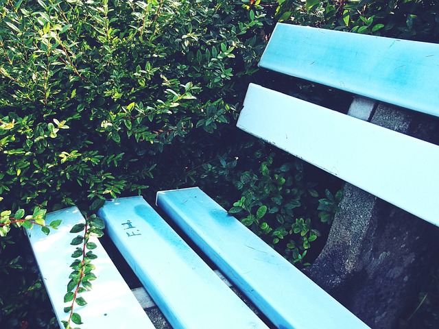 育相互交融 育相互交融