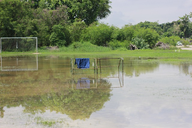 在这一领域 在这一领域
